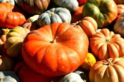 The image for Date Night: Fall Flavors